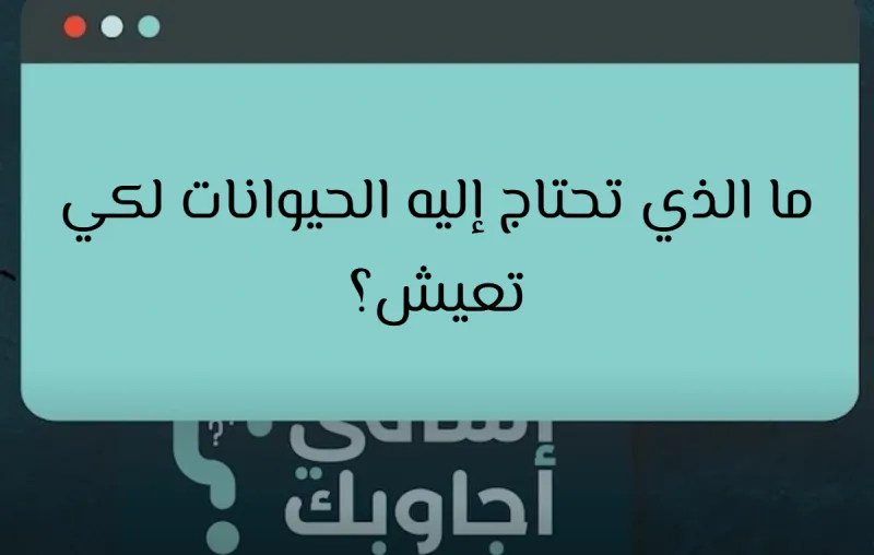 ما الذي تحتاج إليه الحيوانات لكي تعيش؟