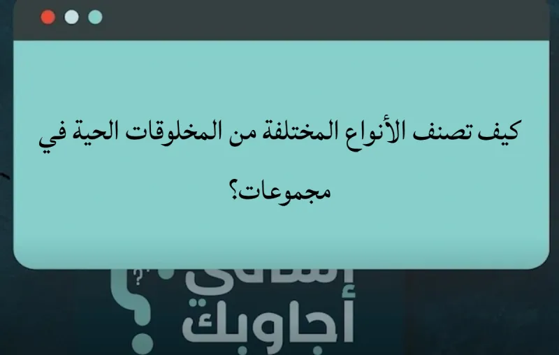 كيف تصنف الأنواع المختلفة من المخلوقات الحية في مجموعات؟