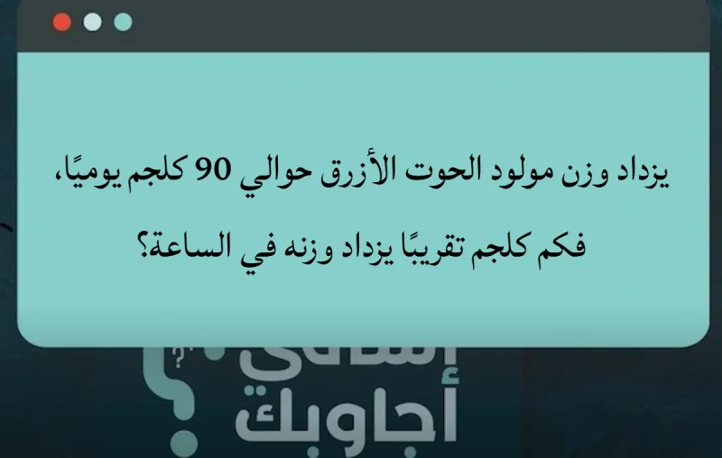 يزداد وزن مولود الحوت الأزرق حوالي 90 كلجم يوميًا، فكم كلجم تقريبًا يزداد وزنه في الساعة؟
