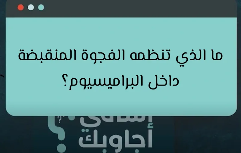 ما الذي تنظمه الفجوة المنقبضة داخل البراميسيوم؟