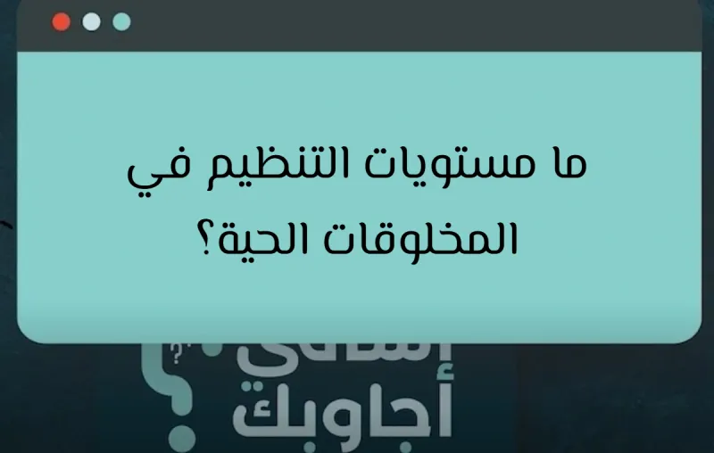 ما مستويات التنظيم في المخلوقات الحية؟