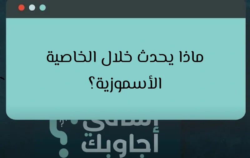 ماذا يحدث خلال الخاصية الأسموزية؟