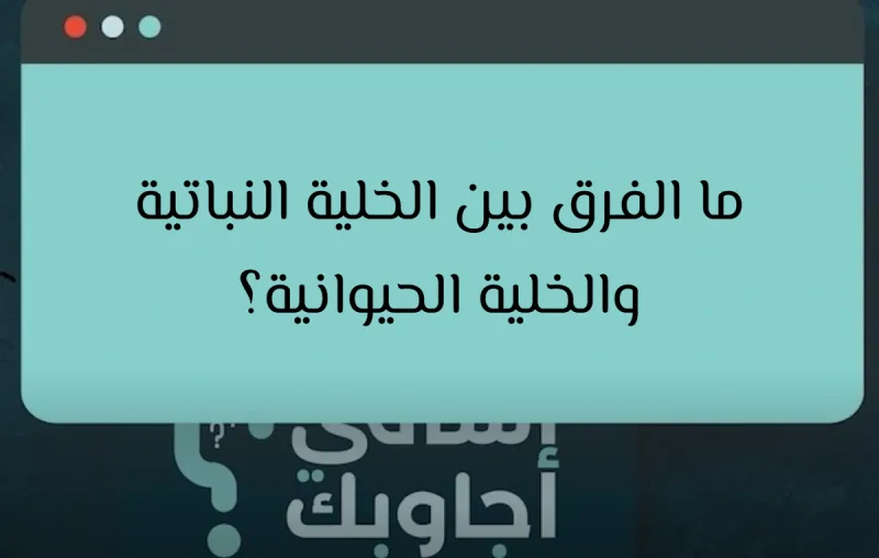 ما الفرق بين الخلية النباتية والخلية الحيوانية؟