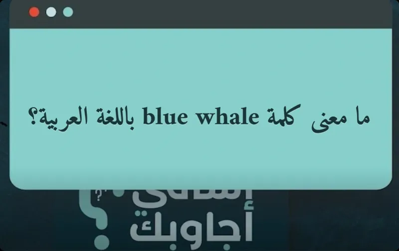 ما معنى كلمة blue whale باللغة العربية؟