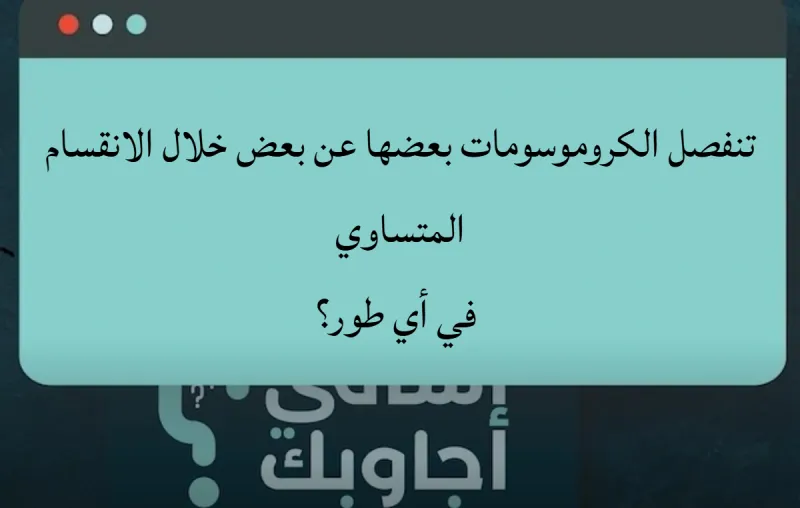 تنفصل الكروموسومات بعضها عن بعض خلال الانقسام المتساوي في أي طور؟