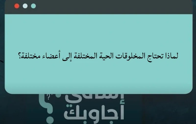 لماذا تحتاج المخلوقات الحية المختلفة إلى أعضاء مختلفة؟