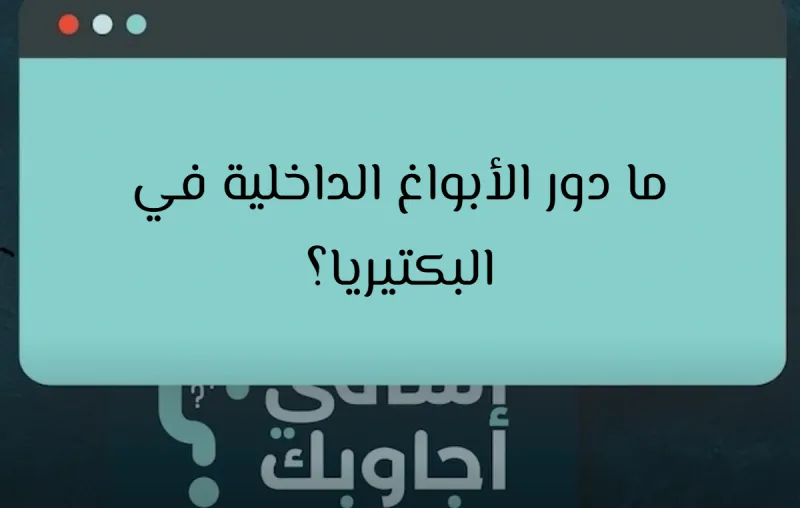 ما دور الأبواغ الداخلية في البكتيريا؟