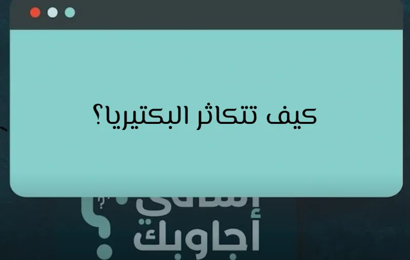 كيف تتكاثر البكتيريا؟