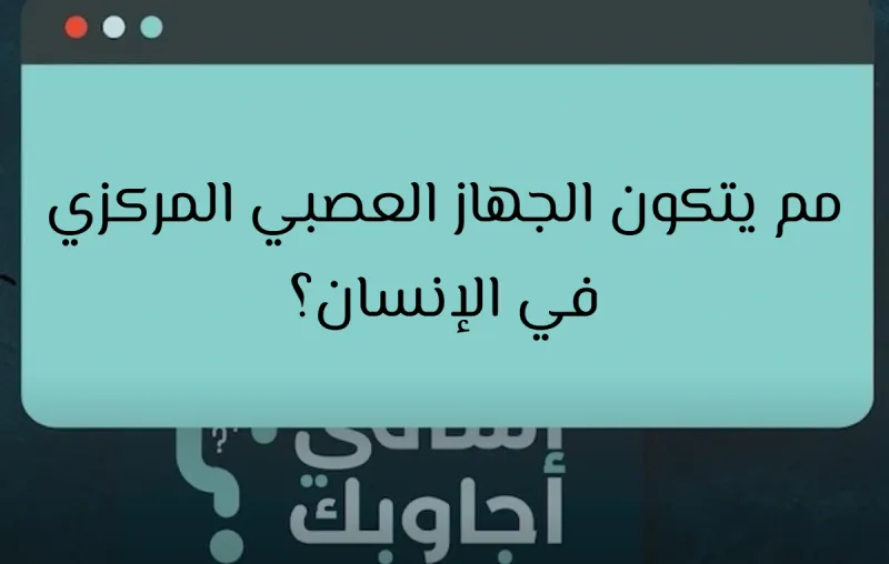 مم يتكون الجهاز العصبي المركزي في الإنسان؟