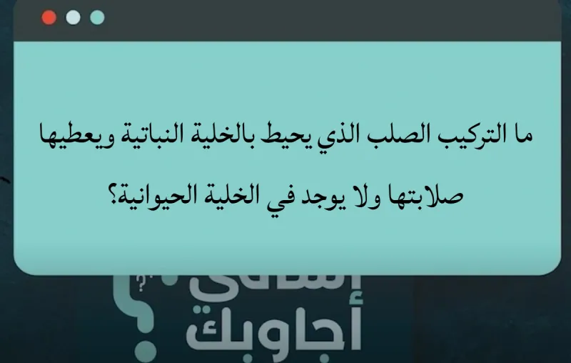 ما التركيب الصلب الذي يحيط بالخلية النباتية ويعطيها صلابتها ولا يوجد في الخلية الحيوانية؟